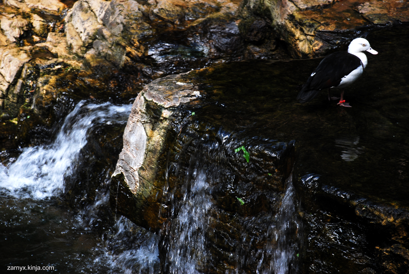Illustration for article titled PhO-TAYGraphy Club: Water, Water, Everywhere